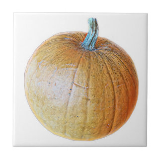 Pumpkin Tile タイル