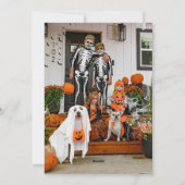 Pumpkin Wearing A Hat Floral Photo Halloween Card シーズンカード (裏面)