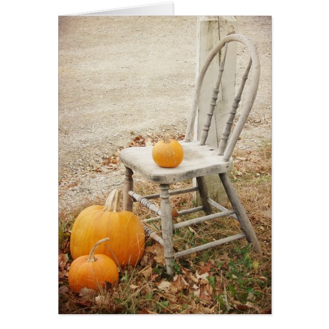 Pumpkins and Chair, Thanksgiving (正面)