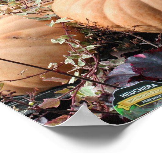 Pumpkins And Fall Plants Farm Stand ポスター (角)