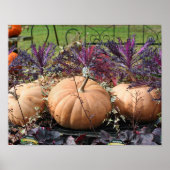 Pumpkins And Fall Plants Farm Stand ポスター (正面)