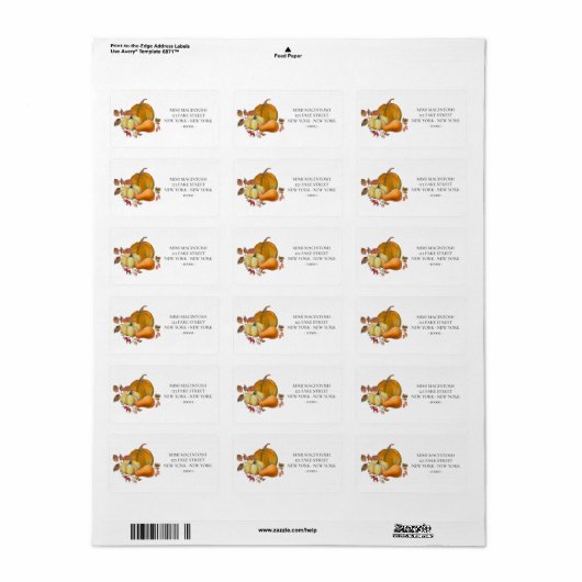Pumpkins and Squash Address Labels ラベル (フルシート)