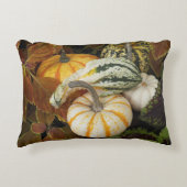 Pumpkins and Squash Still Life Photo アクセントクッション (正面)