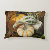Pumpkins and Squash Still Life Photo アクセントクッション (裏面)