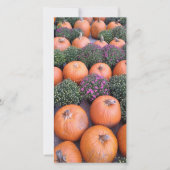 Pumpkins at the Market Card カード (正面)