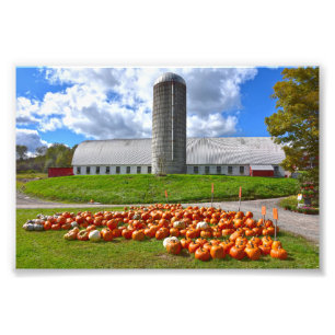 Pumpkins for Sale at Pennsylvania Farm Barn フォトプリント