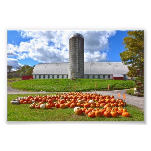 Pumpkins for Sale at Pennsylvania Farm Barn フォトプリント (正面)