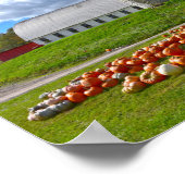 Pumpkins for Sale at Pennsylvania Farm Barn ポスター (角)