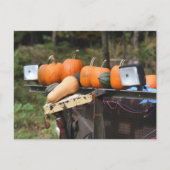 Pumpkins On Truck Country Personalized ポストカード (正面)