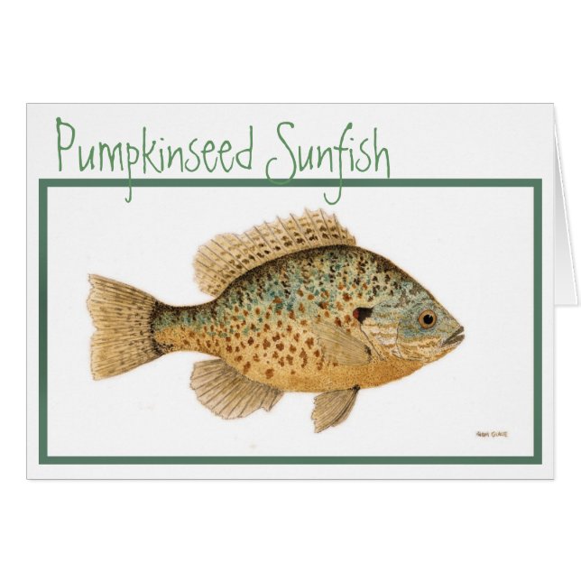 PumpkinseedのSunfishカード (正面横)