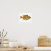 Pumpkinseed Sunfish Art Poster ポスター (キッチン)
