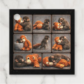 Punch Baby Monkey フェイバータグ (正面)