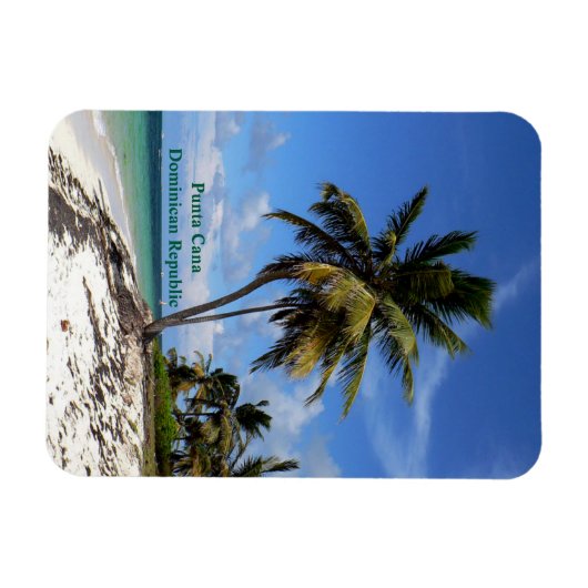 Punta Cana, Dominican Republic, coconut palm tree マグネット (横)