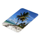 Punta Cana, Dominican Republic, coconut palm tree マグネット (左側)