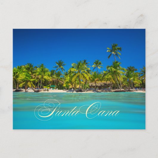 Punta Cana Tropical Palm Trees on Sandy Beach View ポストカード (正面)