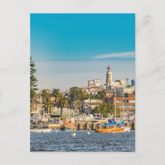 Punta del Este Port、ウルグアイ ポストカード (正面)