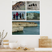 Punta loma photo collage, chubut province, argenti ポスター (キッチン)
