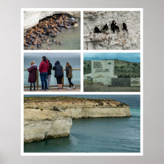 Punta loma photo collage, chubut province, argenti ポスター