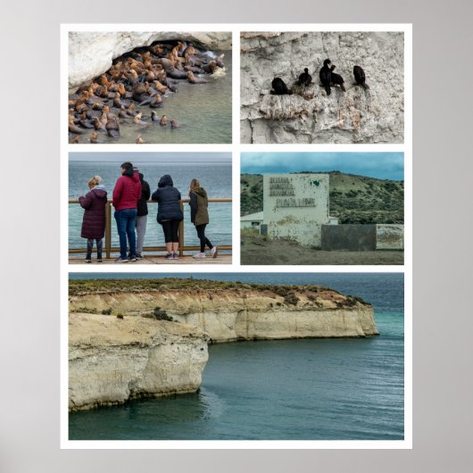 Punta loma photo collage, chubut province, argenti ポスター (正面)