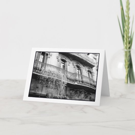 Punto de Vistaグリーティングカード カード (正面)