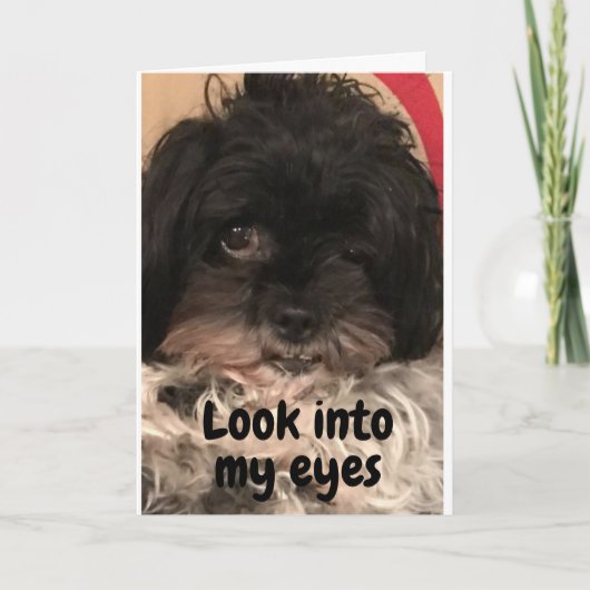 PUPがあなたに「ハッピーバースデー」と言う! カード (正面)