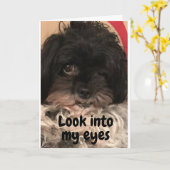 PUPがあなたに「ハッピーバースデー」と言う! カード (黄色い花)