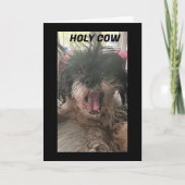 PUPが困惑する – あなたが"60"を回した カード (正面)