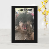 PUPが困惑する – あなたが"70"を回した カード (黄色い花)