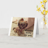 PUPはあなたの誕生日に彼女の弓を着ている カード (黄色い花)