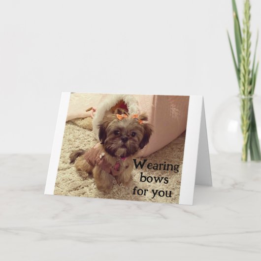 PUPはあなたの誕生日に彼女の弓を着ている カード (正面)