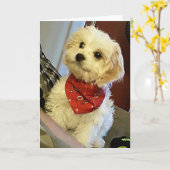 PUPは「あなたの双子」/「友人」の最高の誕生日を望んでいます。 カード (黄色い花)