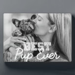 Pup 最高の Ever PetのクールPuppy写真 フォトプラーク<br><div class="desc">このシンプルデザインはモダン、セリフとキュロシブなタイポグラフィで構成され、あなたの人形のカスタム写真を追加する</div>