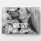 Pup 最高の Ever PetのクールPuppy写真 フォトプラーク (正面)