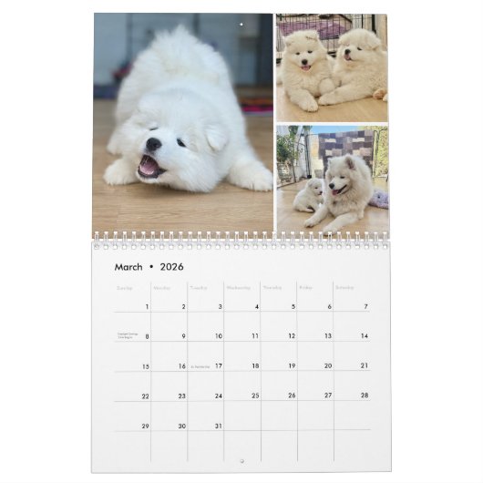 Pupatoes Calendar カレンダー (3月 2026)