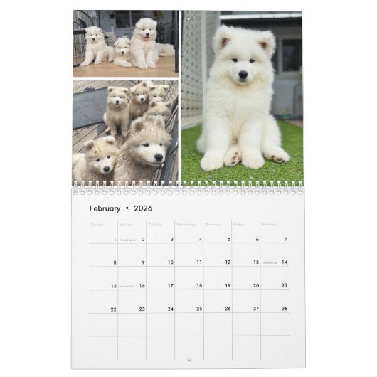 Pupatoes Calendar カレンダー (2月 2026)