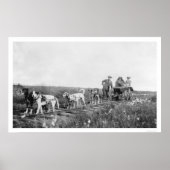 Pupmobile Train Nome, Alaska 1906 ポスター (正面)