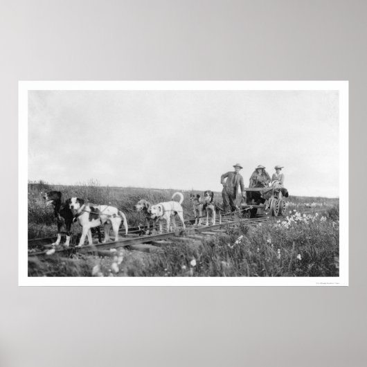 Pupmobile Train Nome, Alaska 1906 ポスター (正面)