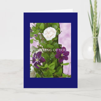 Puposeすべてのカード カード