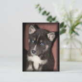 pupper_eyesはがき ポストカード (スタンド正面)