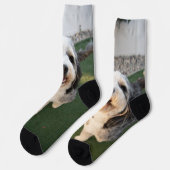 Pupper Socks ソックス (左)