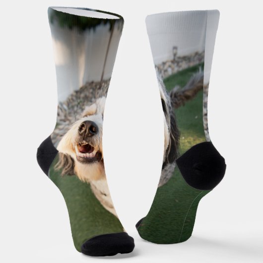 Pupper Socks ソックス (傾斜あり)