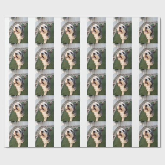 Pupper Socks ラッピングペーパー (フラット)