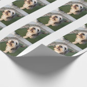 Pupper Socks ラッピングペーパー (角)