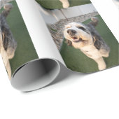 Pupper Socks ラッピングペーパー (ロールコーナー)