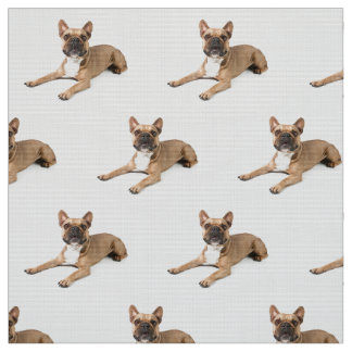 Puppie ファブリック