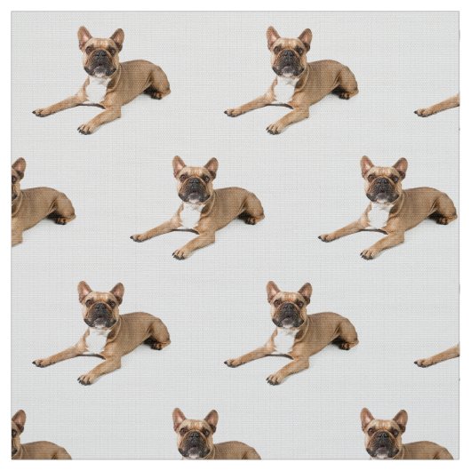 Puppie ファブリック (見本)