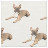 Puppie ファブリック (クローズアップ)