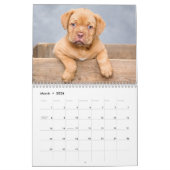 Puppies 2026 Calendar カレンダー (3月 2026)