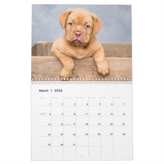 Puppies 2026 Calendar カレンダー (3月 2026)