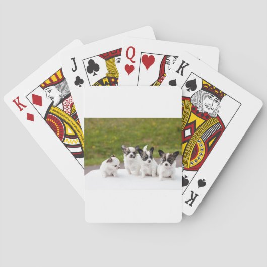 puppies-453532.jpg トランプ (裏面)